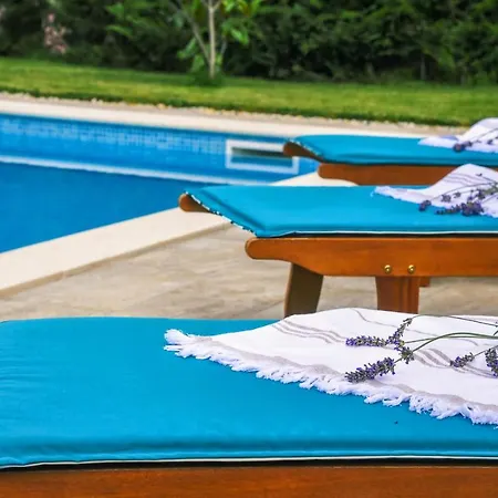 *****pool House With Beautiful Seaview,big Garden And Old Tavern***** Villa