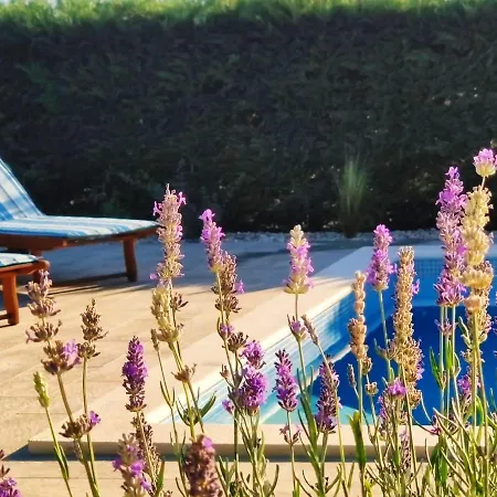 Villa *****pool House With Beautiful Seaview,big Garden And Old Tavern*****